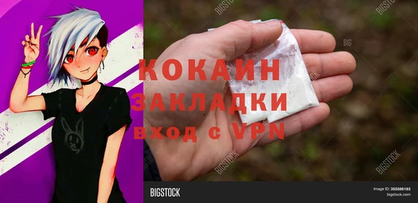 ГАЛЛЮЦИНОГЕННЫЕ ГРИБЫ Алексин