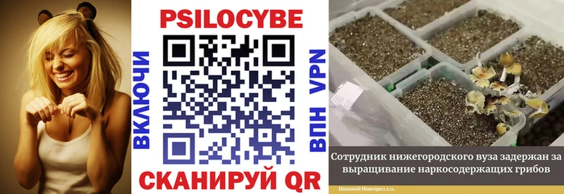 купить  сайты  Новотроицк  Псилоцибиновые грибы MAGIC MUSHROOMS 