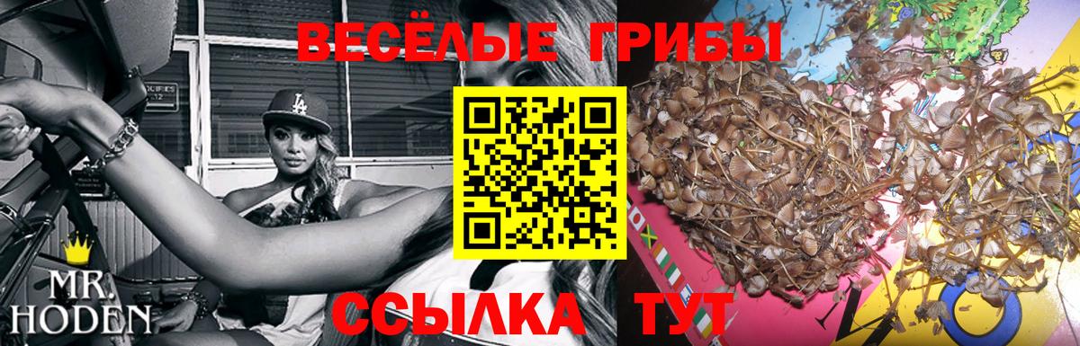 Новотроицк  Кетамин  Мефедрон кристаллы  ГАШ  Вход с VPN  ГЕРОИН  COCAIN 