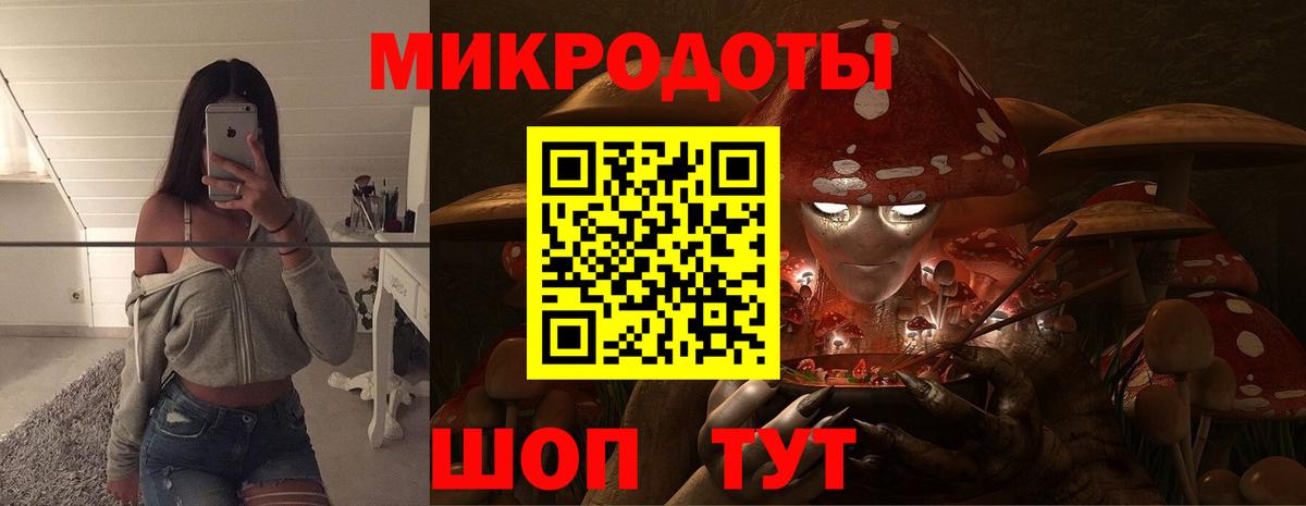 Новотроицк  Псилоцибиновые грибы прущие грибы  Вход с VPN 