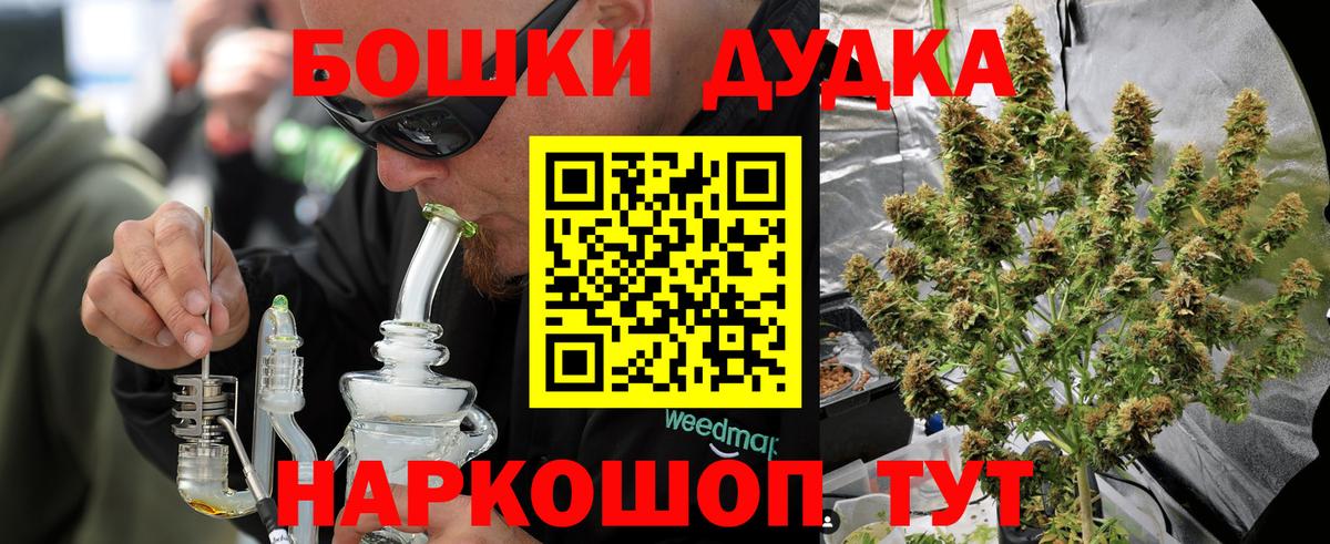 Марихуана план Новотроицк